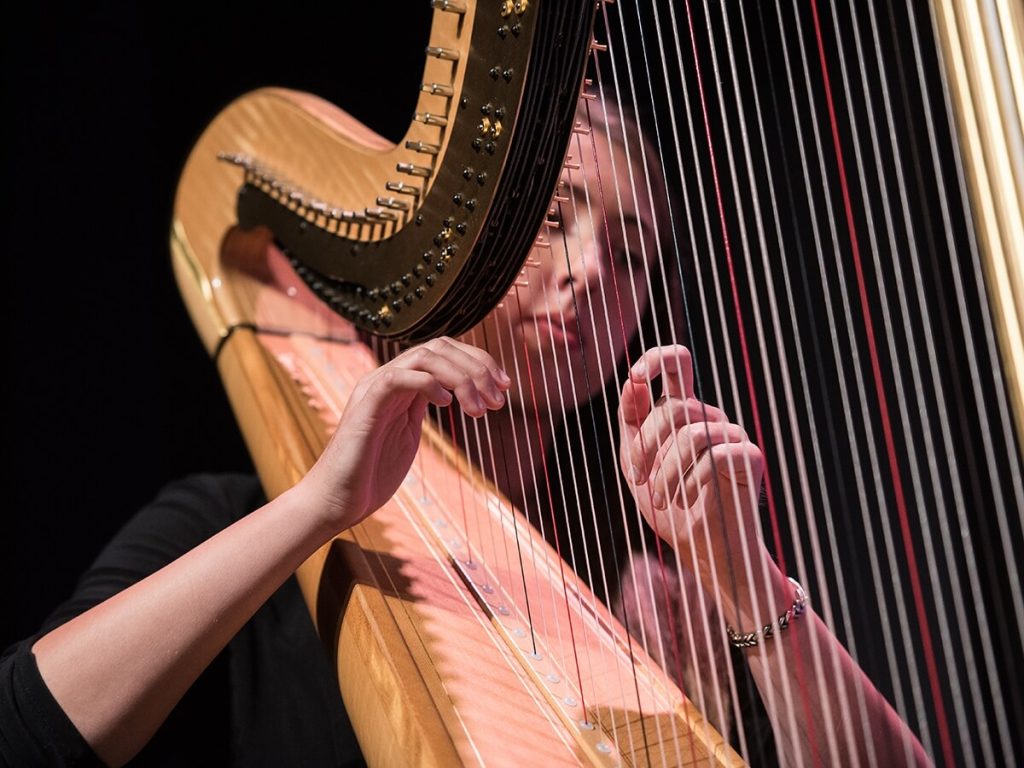 woman playing the harp
