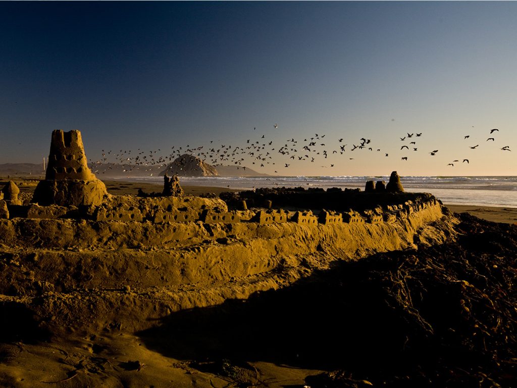 Blog-Learning-from-Sand-Castles