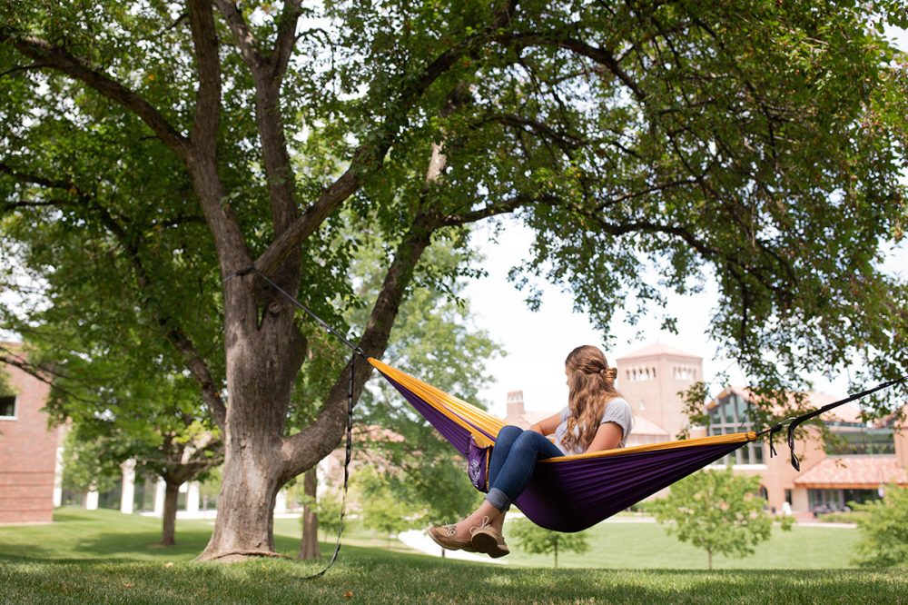 hammock on campus