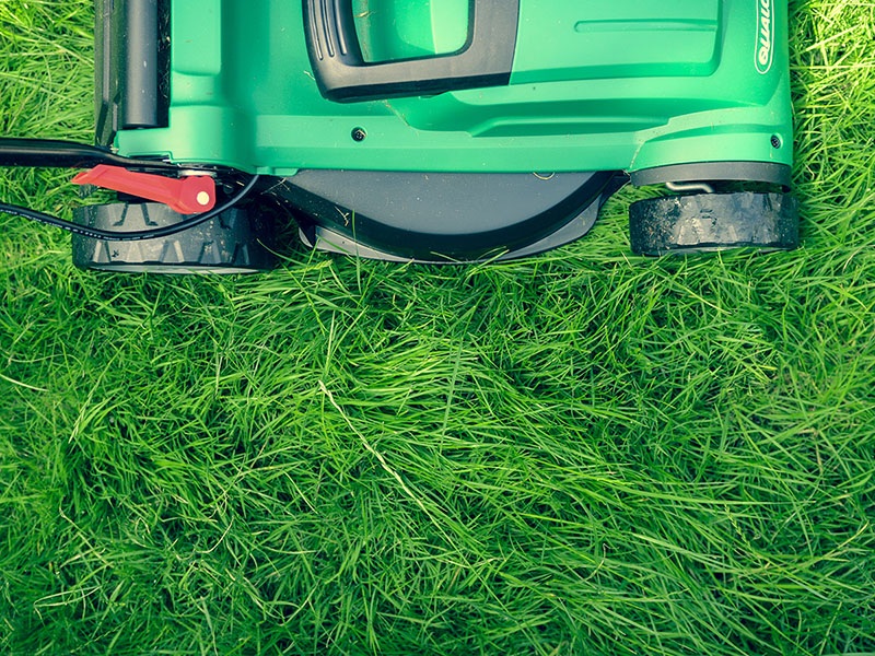 blog-no-lawn-mowers-needed-in-december