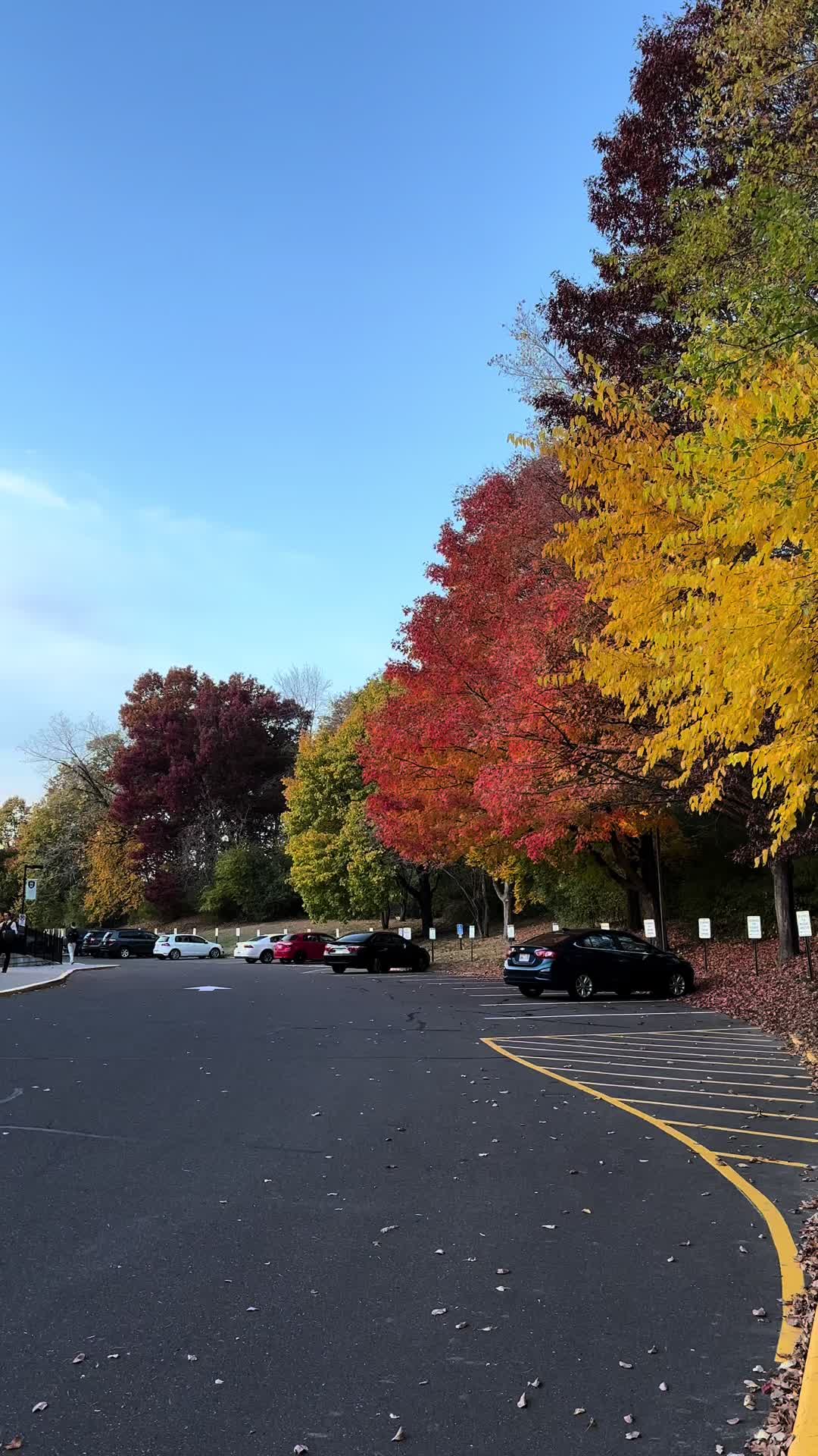 Sit back and enjoy our beautiful campus 🍂